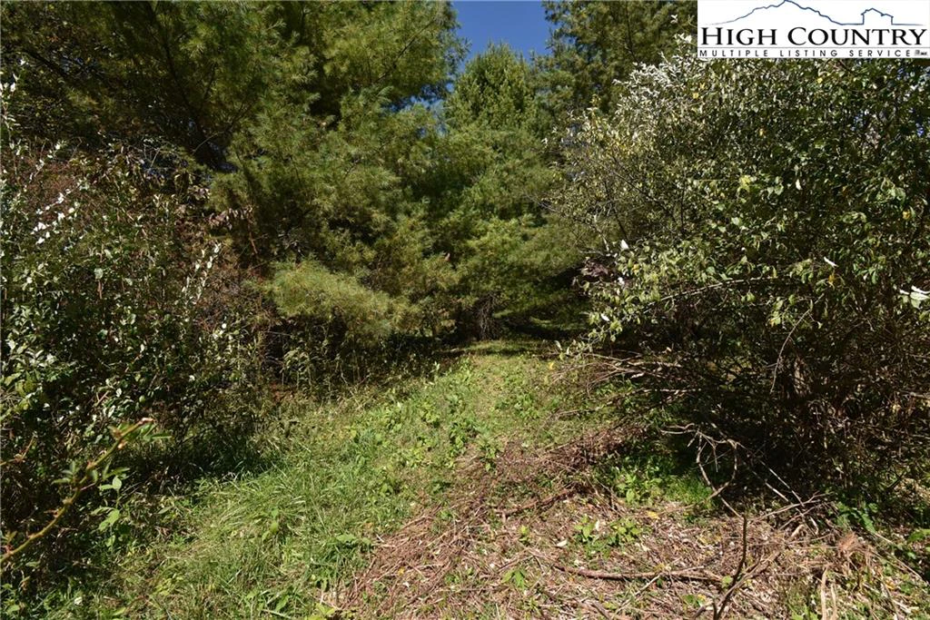 Image number 9 for the current listing