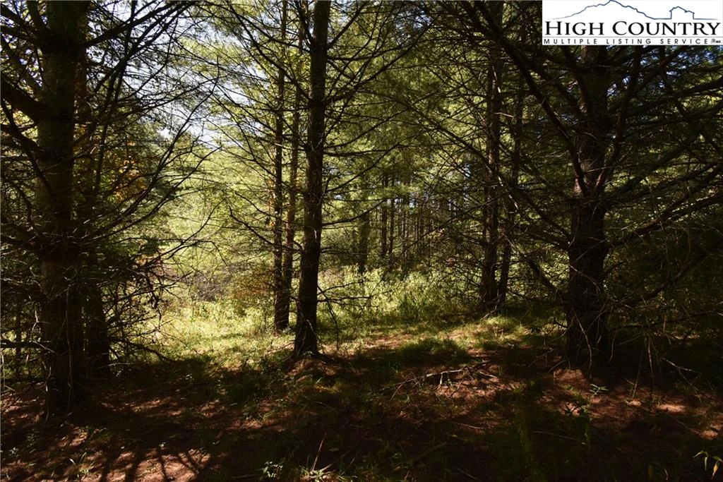 Image number 10 for the current listing