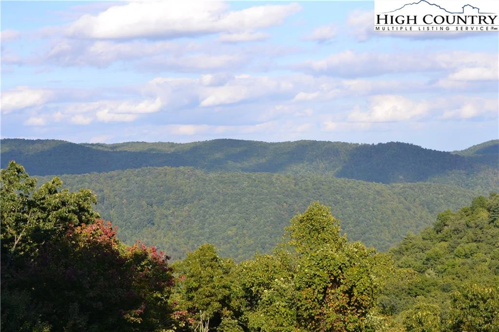 Image number 1 for the current listing