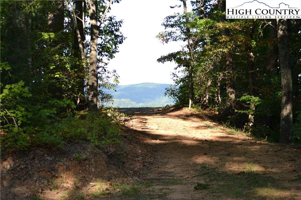 Image number 11 for the current listing