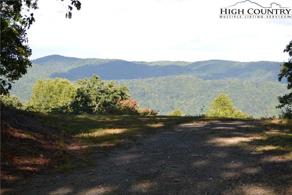 Image number 3 for the current listing