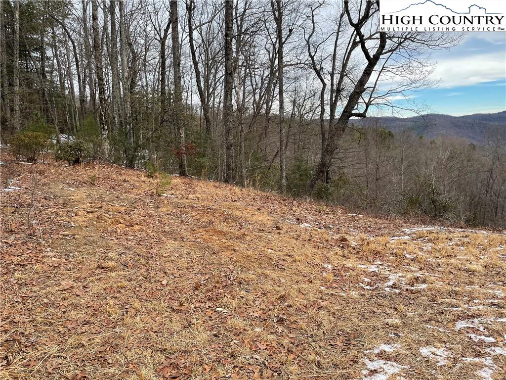 Image number 6 for the current listing