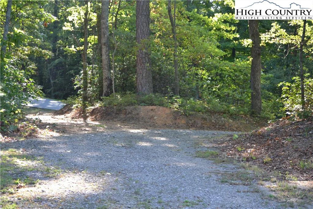 Image number 7 for the current listing