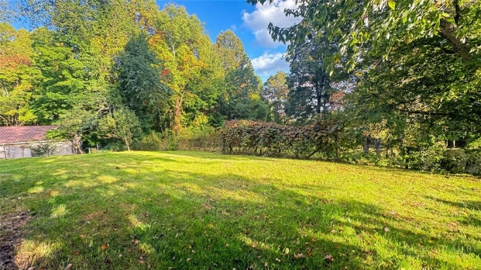 Image number 8 for the current listing
