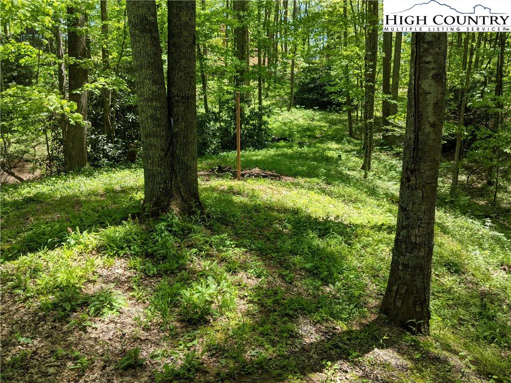 Image number 4 for the current listing