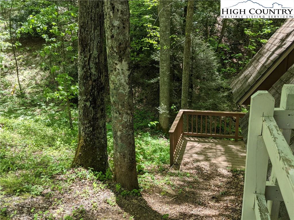 Image number 3 for the current listing