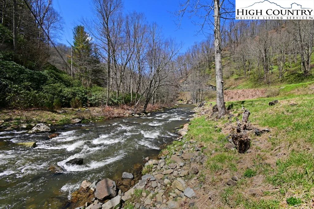 Image number 4 for the current listing