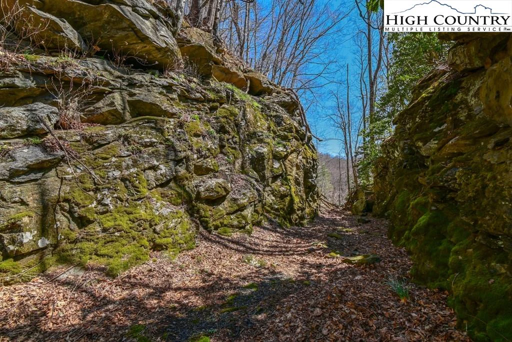 Image number 9 for the current listing