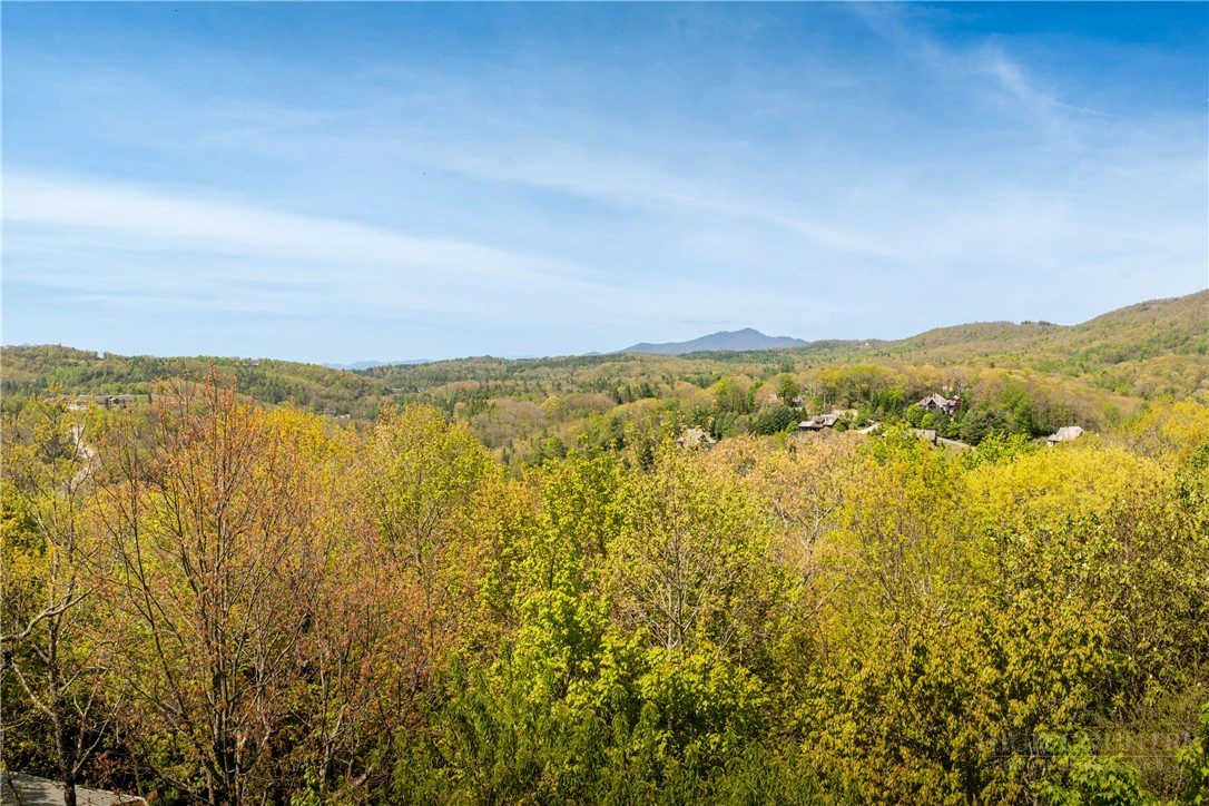 Image number 19 for the current listing