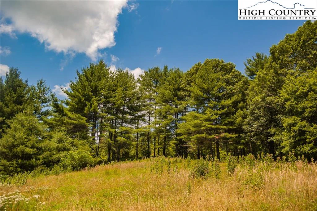 Image number 7 for the current listing