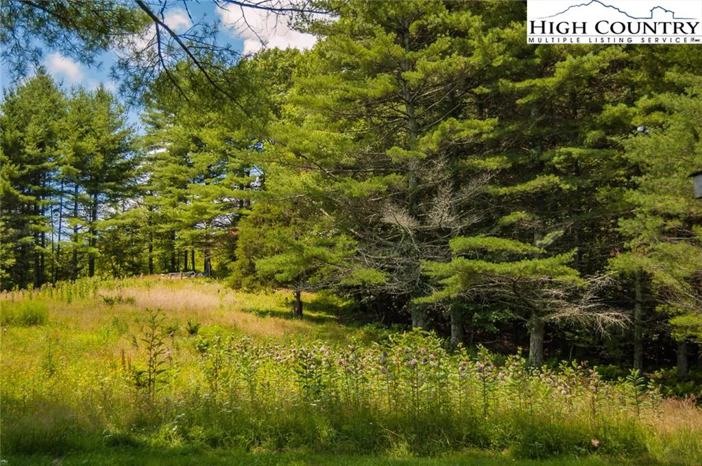 Image number 9 for the current listing