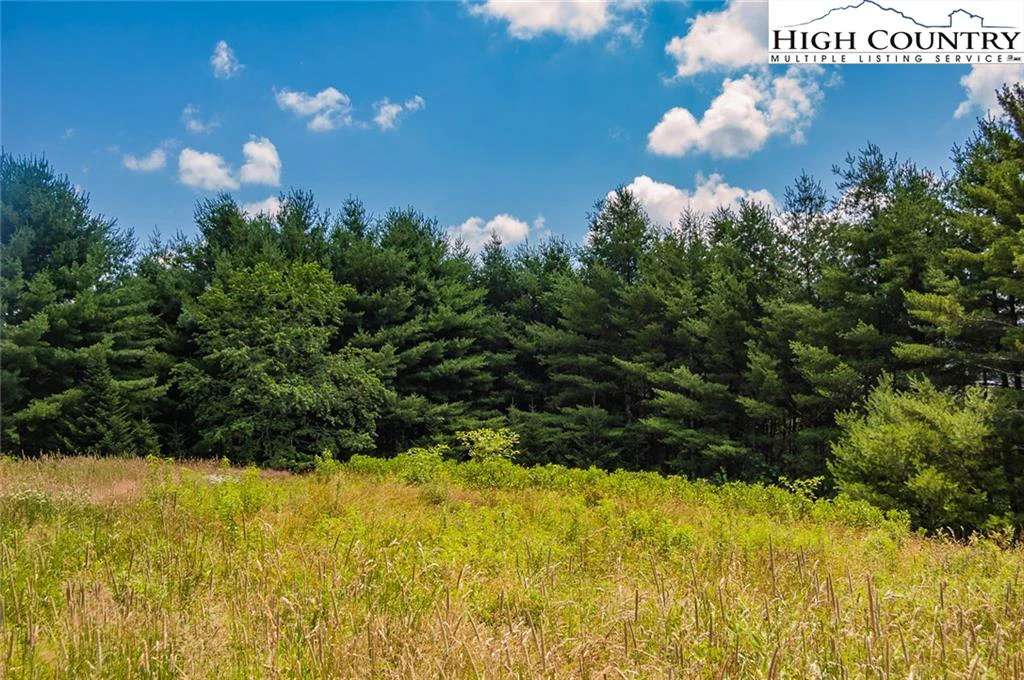 Image number 2 for the current listing