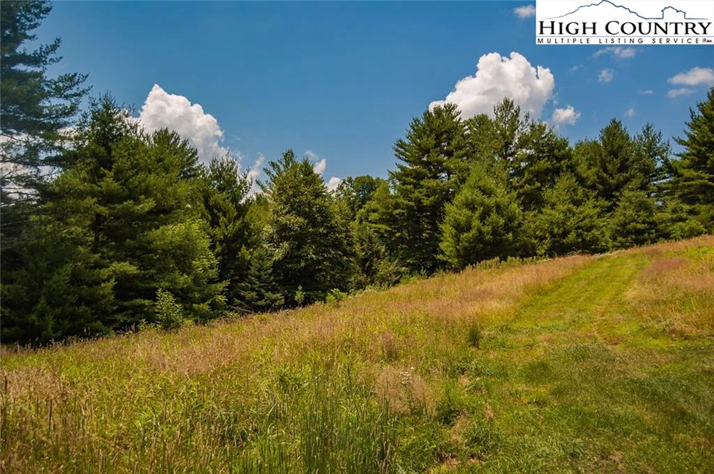 Image number 11 for the current listing