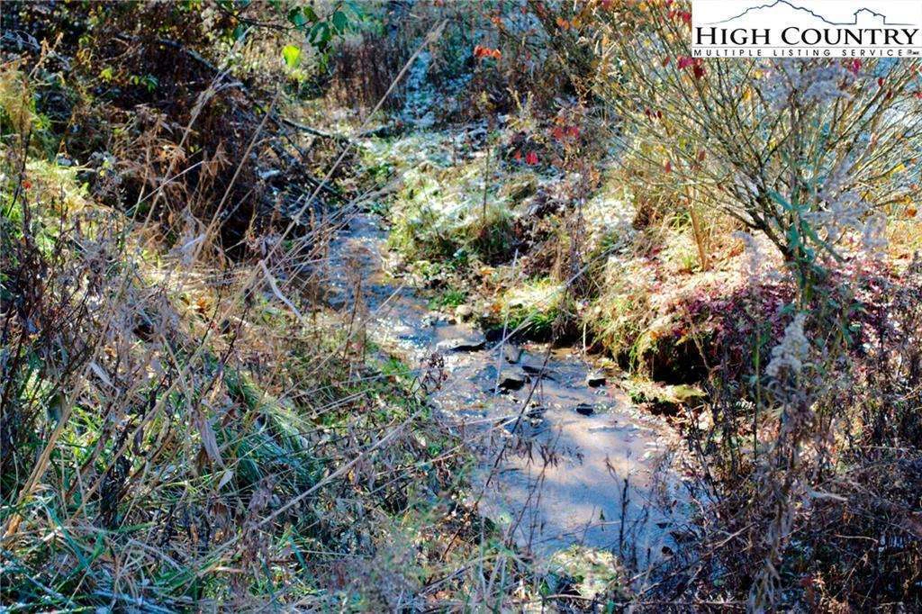Image number 14 for the current listing