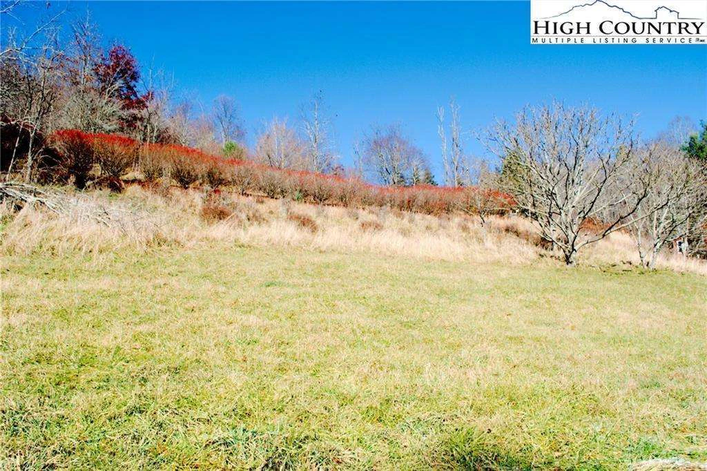 Image number 4 for the current listing