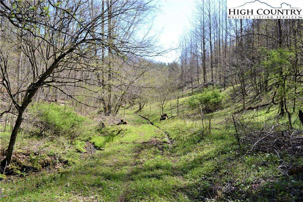 Image number 11 for the current listing