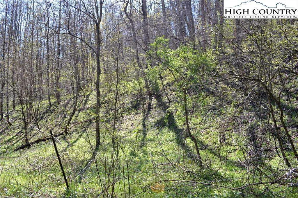 Image number 13 for the current listing