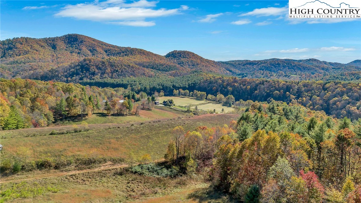 Image number 4 for the current listing