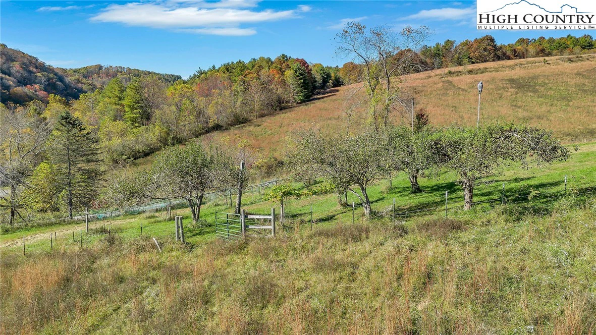 Image number 7 for the current listing