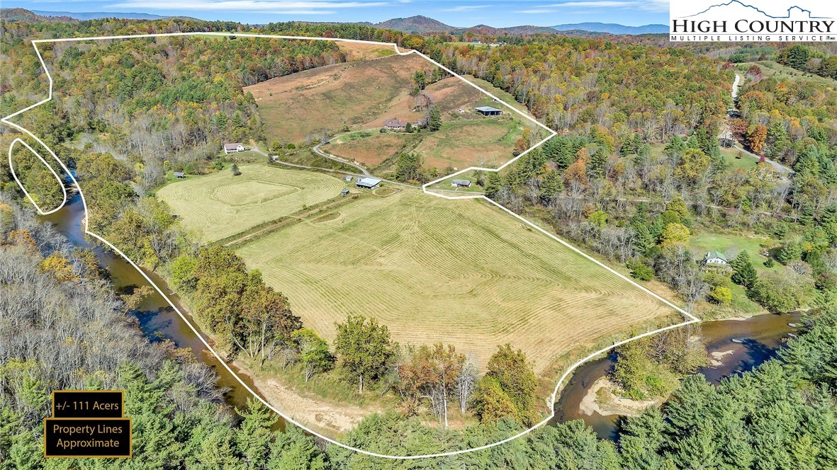 Image number 2 for the current listing