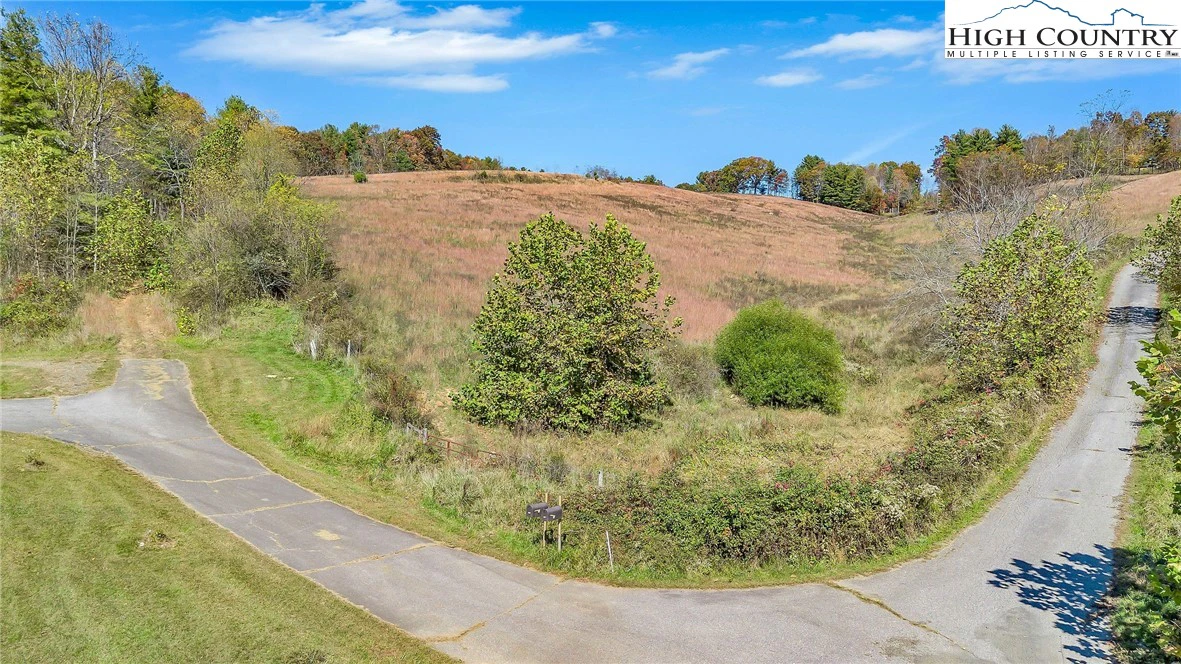Image number 15 for the current listing