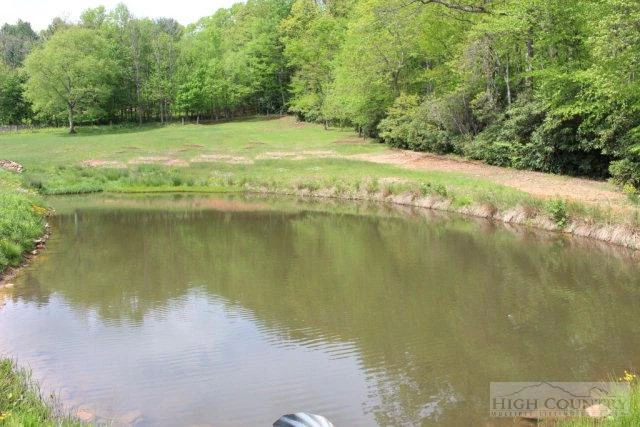 Image number 12 for the current listing