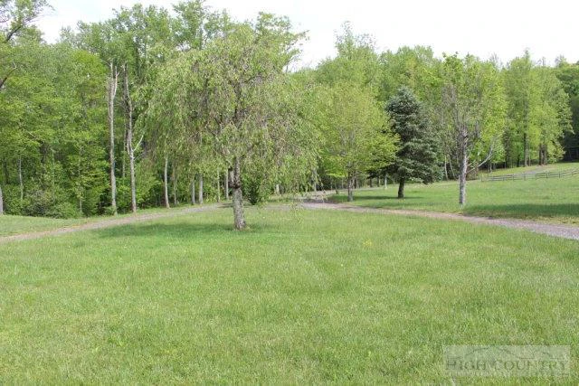 Image number 11 for the current listing