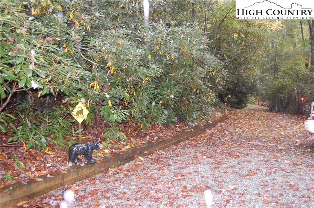 Image number 10 for the current listing