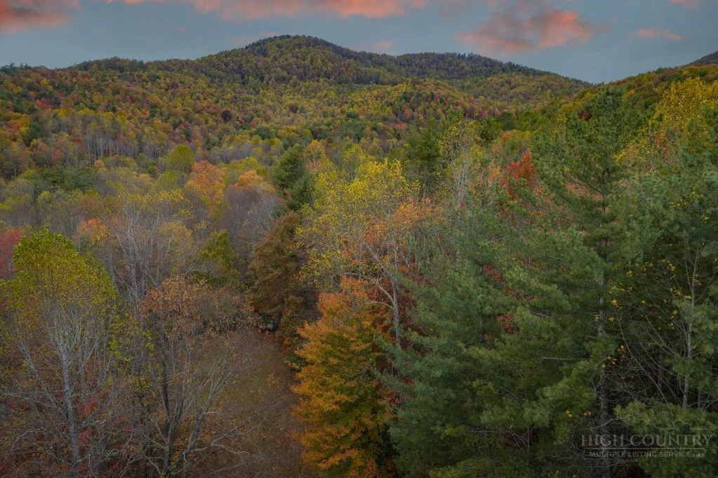 Image number 19 for the current listing
