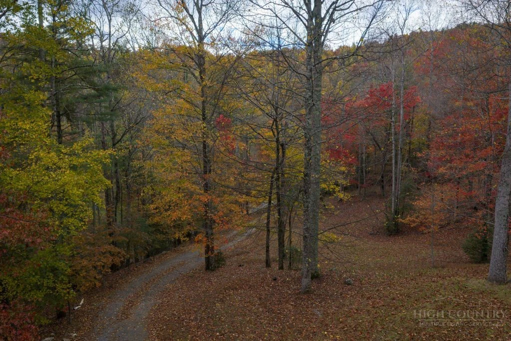 Image number 13 for the current listing