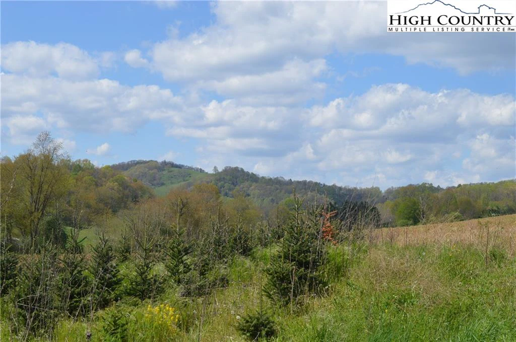 Image number 3 for the current listing