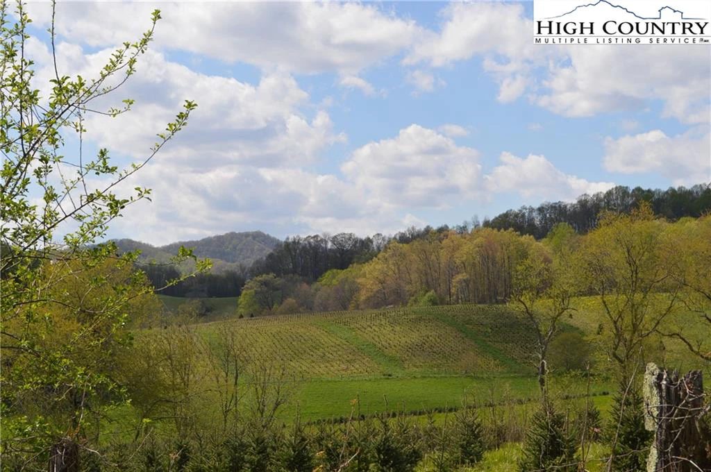 Image number 4 for the current listing