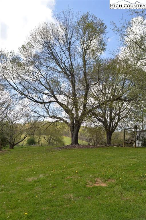 Image number 12 for the current listing
