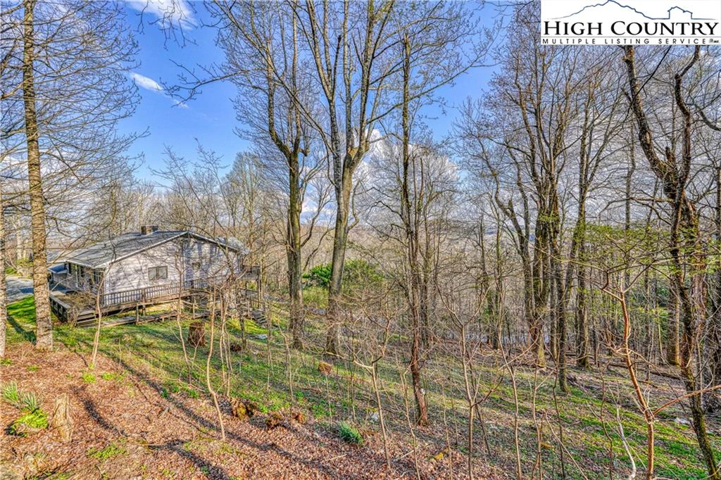 Image number 6 for the current listing
