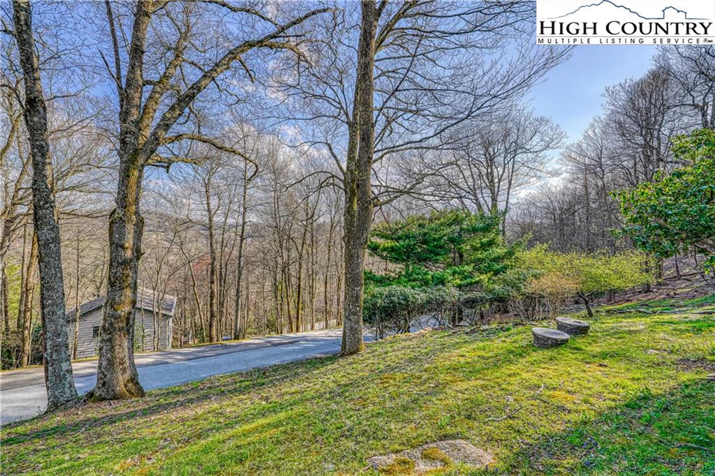 Image number 7 for the current listing