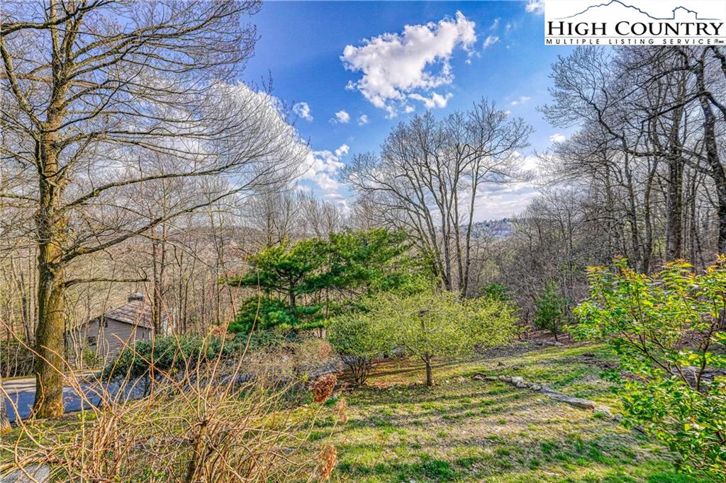 Image number 20 for the current listing