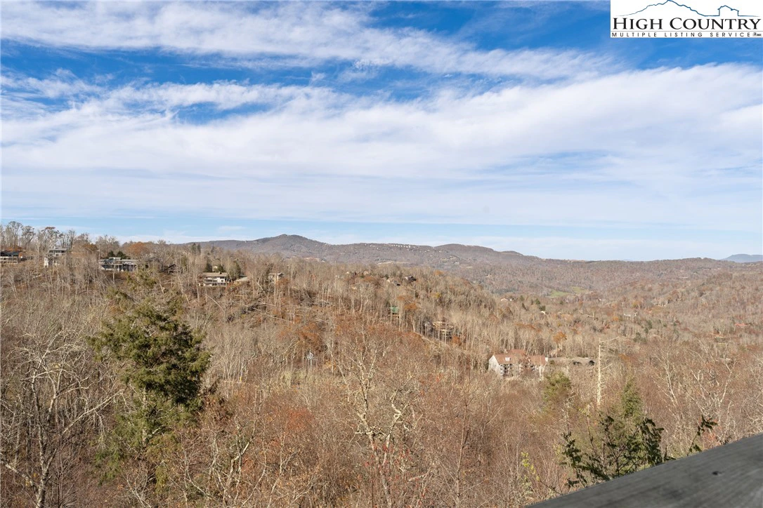 Image number 2 for the current listing