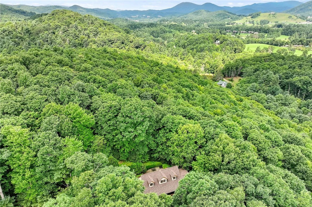 Image number 2 for the current listing
