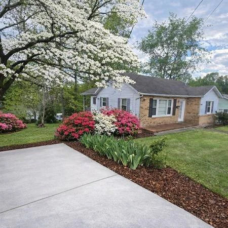 Image number 1 for the current listing