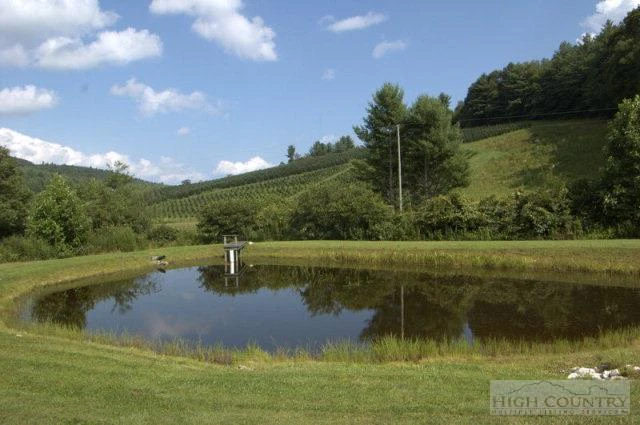 Image number 16 for the current listing