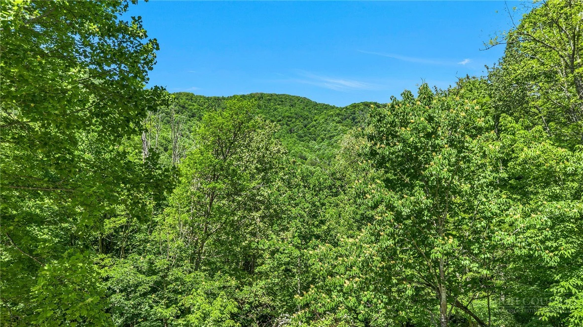 Image number 3 for the current listing