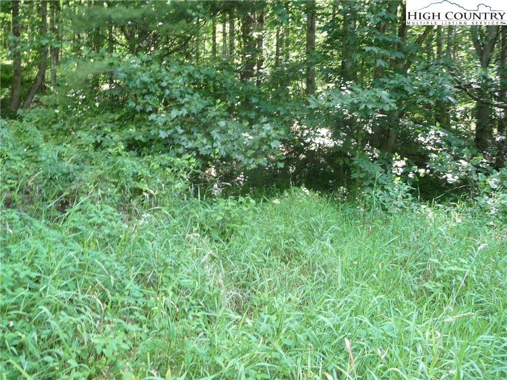 Image number 18 for the current listing