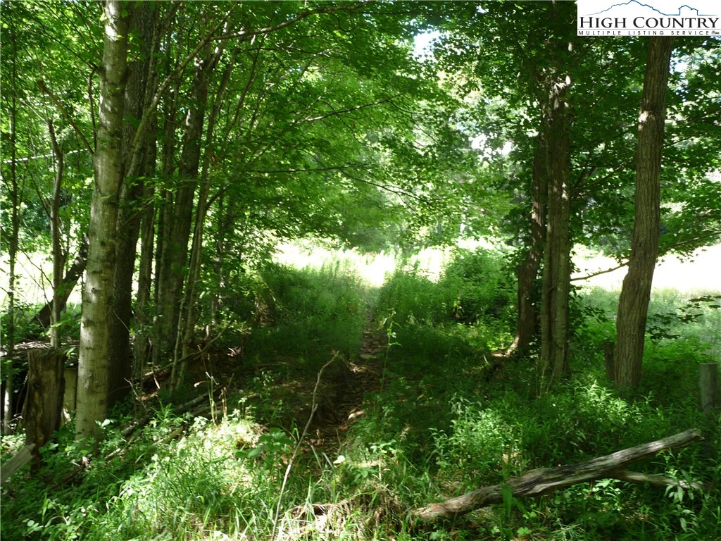 Image number 14 for the current listing
