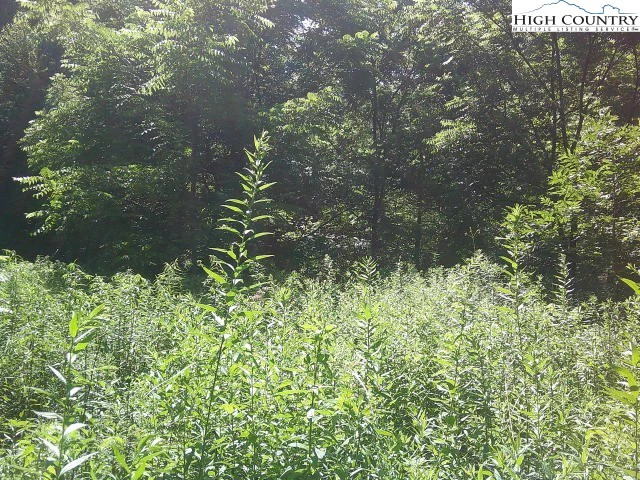 Image number 11 for the current listing