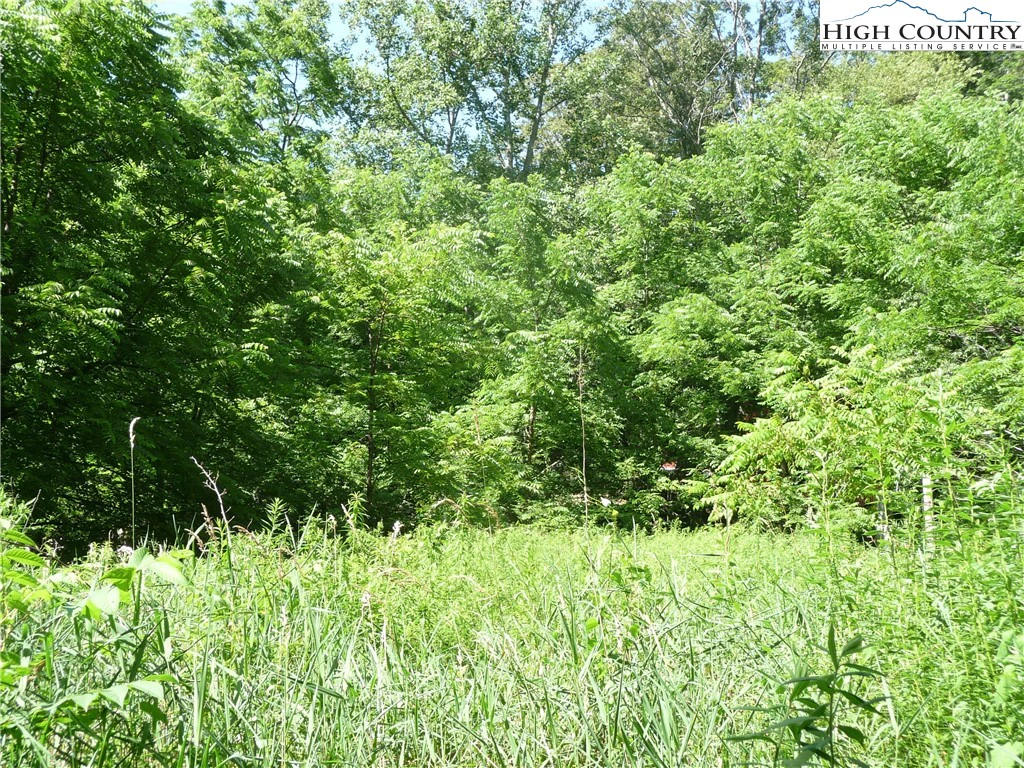 Image number 9 for the current listing