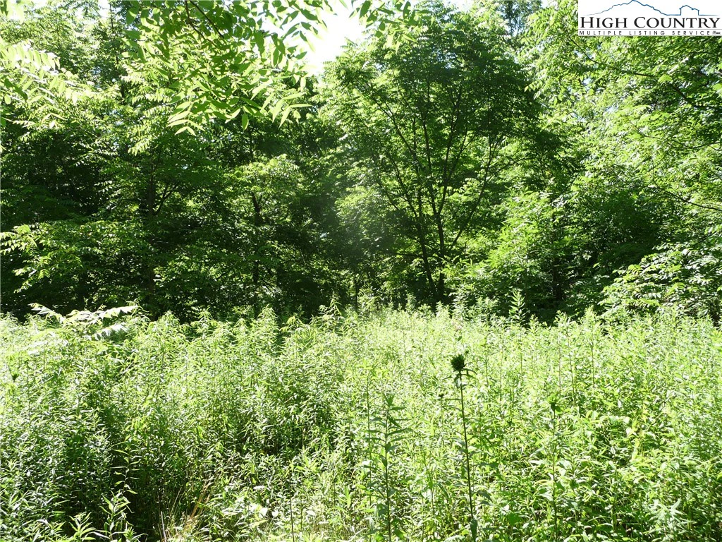 Image number 8 for the current listing