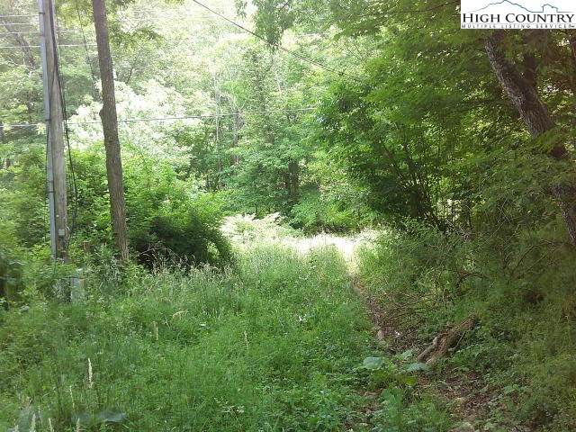 Image number 6 for the current listing