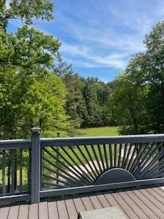 Image number 2 for the current listing