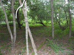 Image number 3 for the current listing