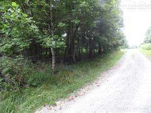 Image number 4 for the current listing